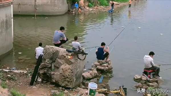 痴迷的釣魚人！廣東一河道成天然黑坑，無數釣魚人慕名而來