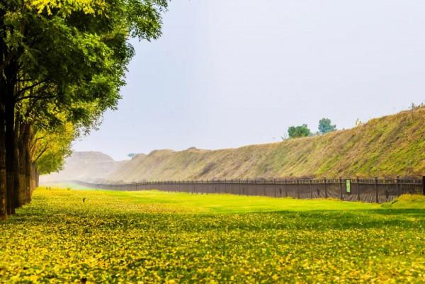 抓住深秋的尾巴 快來接收這座古城的秋日來“信” 抓住深秋的尾巴 快來接收這座古城的秋日來“信”