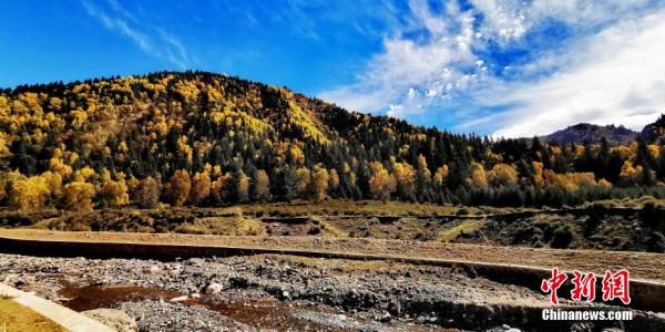 “高原綠色明珠”成金色世界 “高原綠色明珠”成金色世界