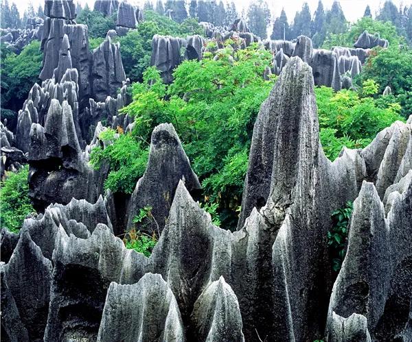 雲南貴州遊路線 雲南貴州遊路線