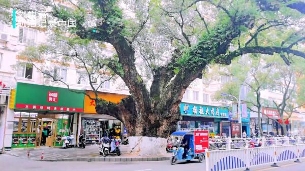 建陽古城:一座被埋沒在歷史煙塵中的古城,它的選址非常有代表性 建陽古城:一座被埋沒在歷史煙塵中的古城,它的選址非常有代表性