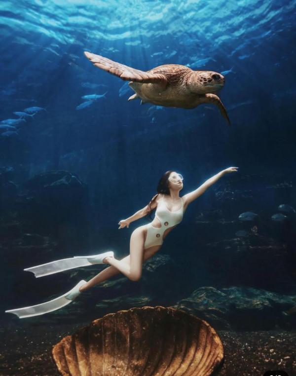 這輩子不後悔學了潛水;水下真的太美好了 這輩子不後悔學了潛水;水下真的太美好了