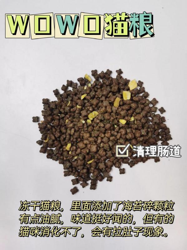 別再踩雷了，貓咪承受不了你折騰還不會選貓糧？