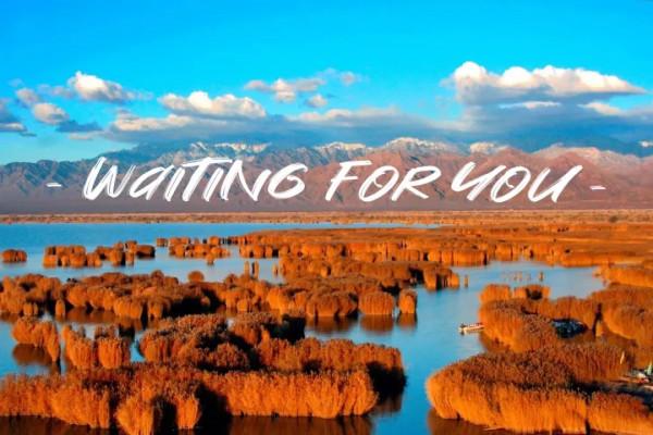 好訊息!9.9活動門票延期至明年4月30日之前使用,已有景區門票售罄!還不快行動起來! 好訊息!9.9活動門票延期至明年4月30日之前使用,已有景區門票售罄!還不快行動起來!