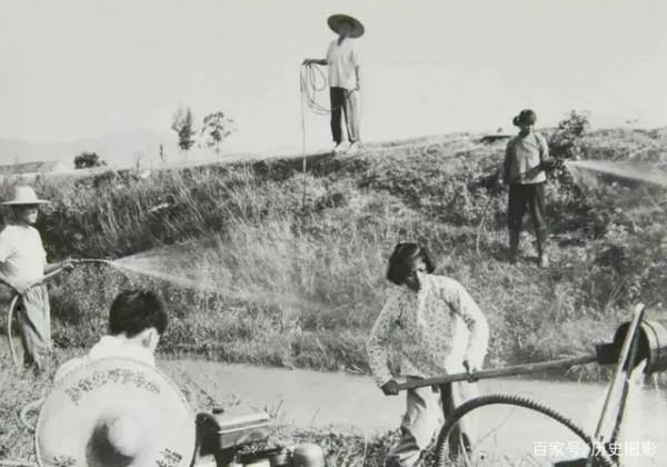 老照片裡的農村 老照片裡的農村