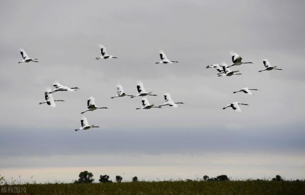 有關黑龍江省的二十二個冷知識，你知道多少個？