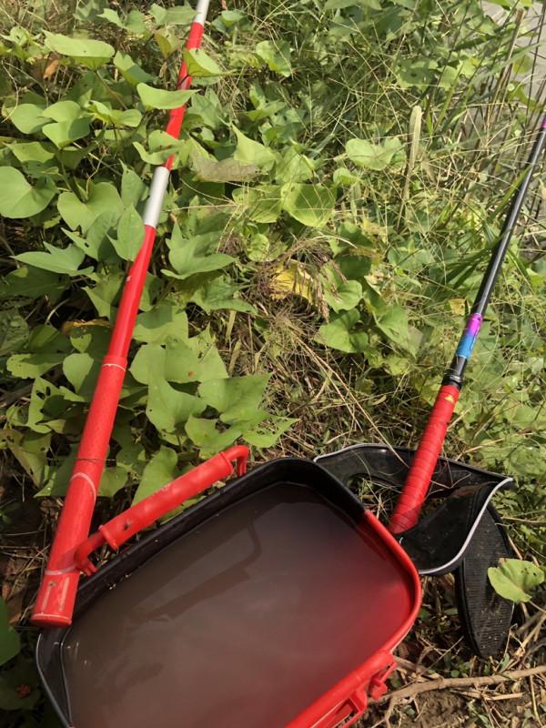 飛機塘上飛，遍地是墳墓，釣淺水小魚拖著玉米跑