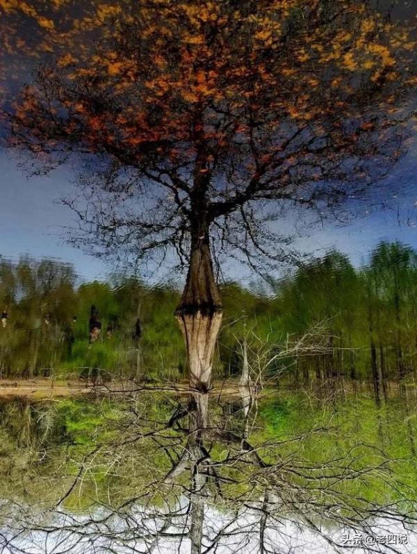 老四分享第32天：以道御術，術尚可求；以術御道，止於術