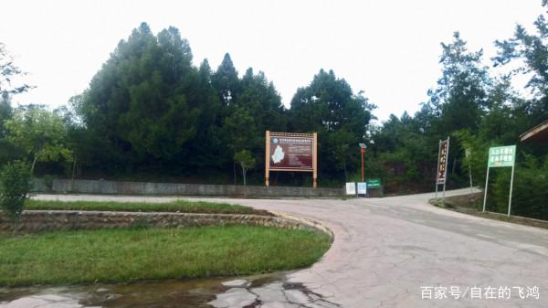 漫步攔馬牆，來一場穿越時空之旅，看金牛古道的前世今生