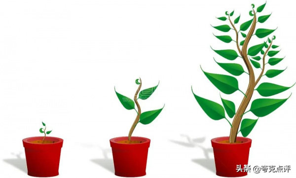 阿里股價反攻背後：多元治理架構戰略下的增長機制