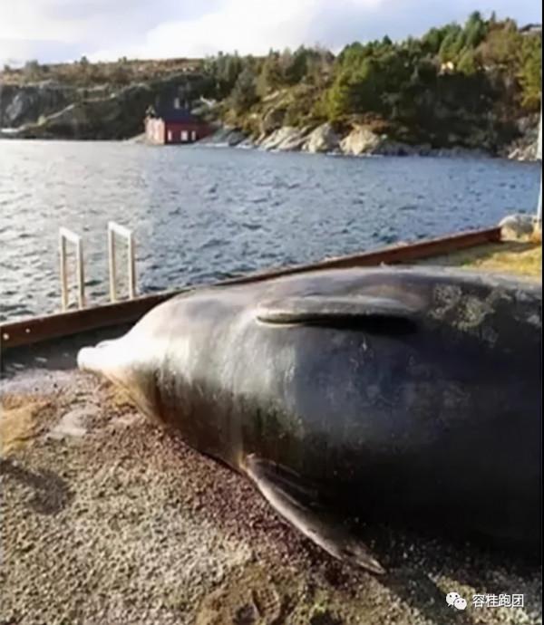 為了一個潔淨的星球 為了一個潔淨的星球