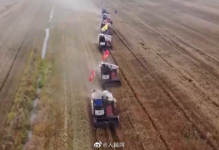 十八連豐！我國糧食產能穩步提升
