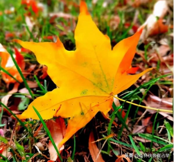 今天不講中醫，給大家分享一個小故事，聽後可能會改變你的生活