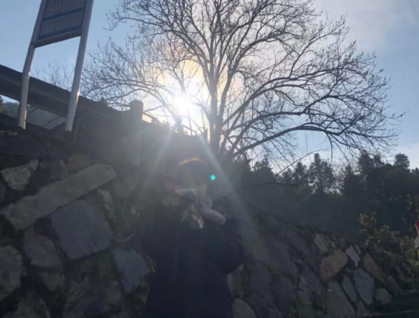 2022年的第一天，我們把長三角41座城市的太陽看了個遍