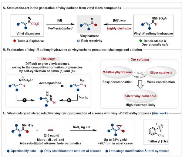 烯基銀卡賓 源自磺醯腙 簡便又實用
