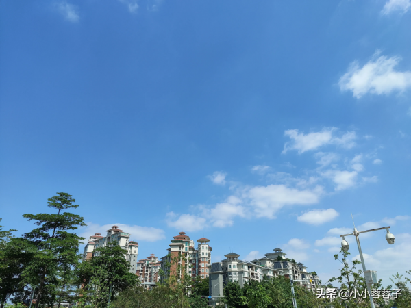 從養老院裡見證老人的心酸生活。這也許是年老後的你