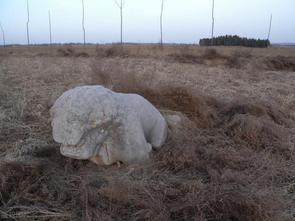 兄弟三人輪流當皇帝，一個娛樂至上被殺，二個勵精圖治大有作為