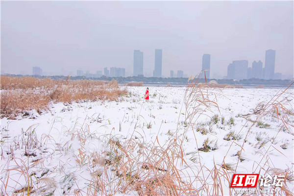 冰天雪地裡看紅裝素裹，感受《沁園春·雪》中壯麗絕美的雪景