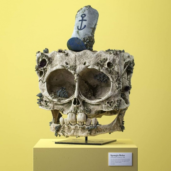 國外藝術家為美漫卡通角色創造“正確”的頭骨