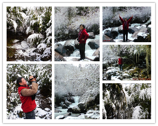 2012年 L-2 彩林之旅-孟屯河谷7老君溝 2012年 L-2 彩林之旅-孟屯河谷7老君溝