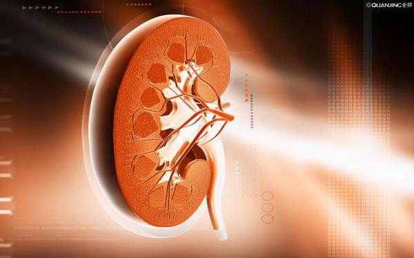 腎病會“遺傳”嗎？醫生：不想腎受傷，4個誘因儘早避開，莫忽視