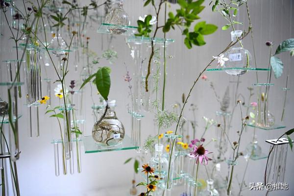 驚豔了109年,伊麗莎白女王的摯愛,又好看又好吃的切爾西花展 驚豔了109年,伊麗莎白女王的摯愛,又好看又好吃的切爾西花展