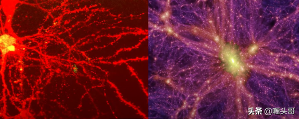 宇宙是個生物體？當科學家做了一個實驗後，細思極恐的問題出現了