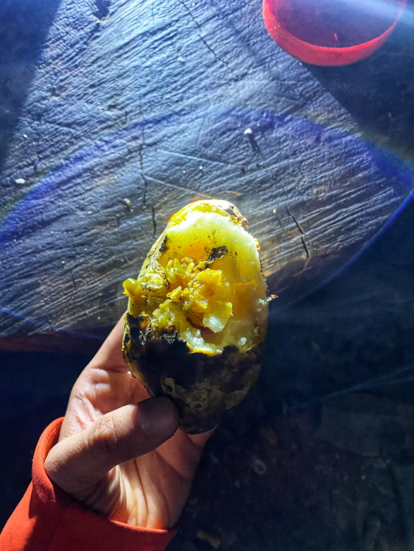 遊記 | 自由扶梯上,你自在如風——挑戰婆繆峰始末 遊記 | 自由扶梯上,你自在如風——挑戰婆繆峰始末