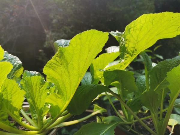 又到冬季，盤點打理一下這方寸間