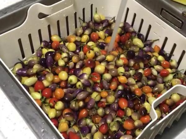 醬泡五彩椒怎樣做脆辣入味不軟癟？醬香濃郁，好吃到能當零食吃