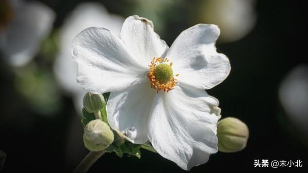 有一種幸運叫:認識你真好 有一種幸運叫:認識你真好