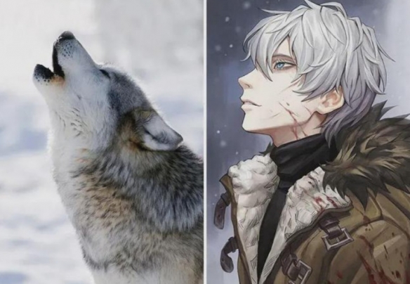 冷門動物擬人 這麼不萌的品種都可以的嗎？