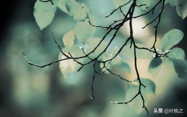 人到中年，別隨便佔“便宜”