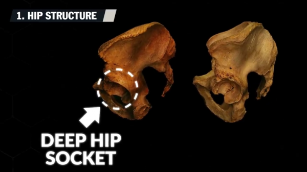 別再“弓背自殘硬拉”了！5個解決方法、拯救你的腰椎