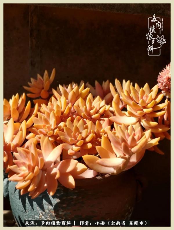 用一份熱愛，溫暖一段時光