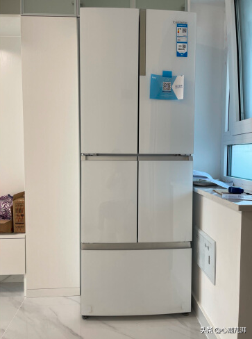 心心帶你買冰箱—2021購買指南，從八百到二萬，12個品牌18個清單