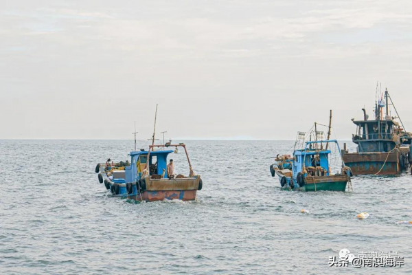 好想好想好想去南澳看海