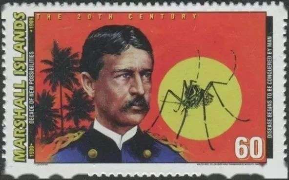 壬寅往事：歷史上的壬寅虎年