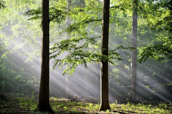 中國又一座城市被聯合國評為世界美食之都，就在江蘇，去過的不多