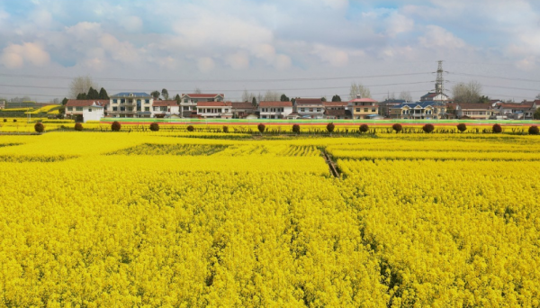 田野鄉村，風景如畫
