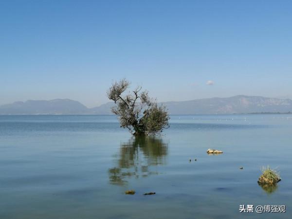 仗劍縱馬走天涯 仗劍縱馬走天涯