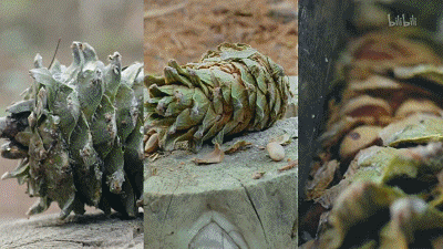 大雪霏霏、美食相伴!冬日最念念不忘的這一口,溫暖又治癒 大雪霏霏、美食相伴!冬日最念念不忘的這一口,溫暖又治癒