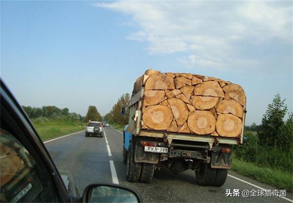 35張“活久見”的完美圖片，強迫症瞬間被治癒了