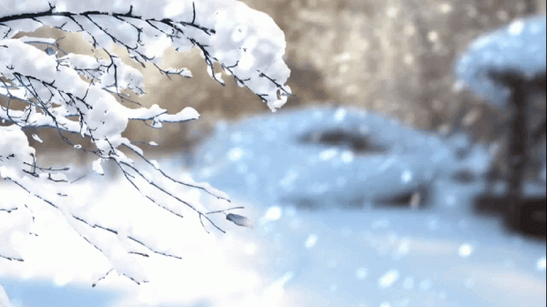 天氣預報：大暴雪範圍已經確定，連下5天，元宵冷哭？農諺咋說？