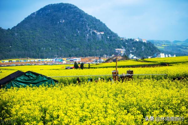 雲南5個宜居城市,養老就在其中選!醫療發達,全年不用開空調 雲南5個宜居城市,養老就在其中選!醫療發達,全年不用開空調