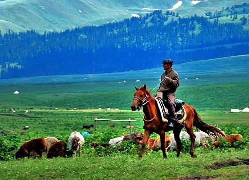 新疆那拉提草原風光 新疆那拉提草原風光