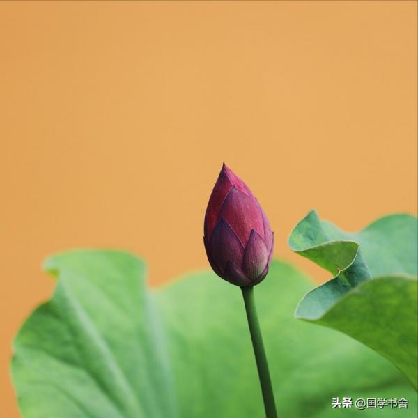 《莊子》:人生無善無惡,一切本為自然 《莊子》:人生無善無惡,一切本為自然