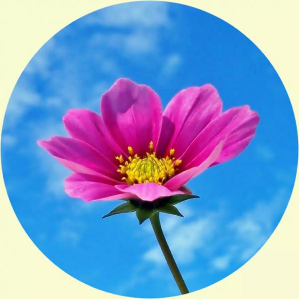 你的微信頭像該換了,美麗的風景,令人心曠神怡 你的微信頭像該換了,美麗的風景,令人心曠神怡