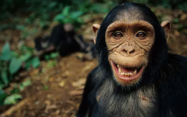 地球上本來沒有人,人類從何而來?第一個誕生的人是男人還是女人 地球上本來沒有人,人類從何而來?第一個誕生的人是男人還是女人