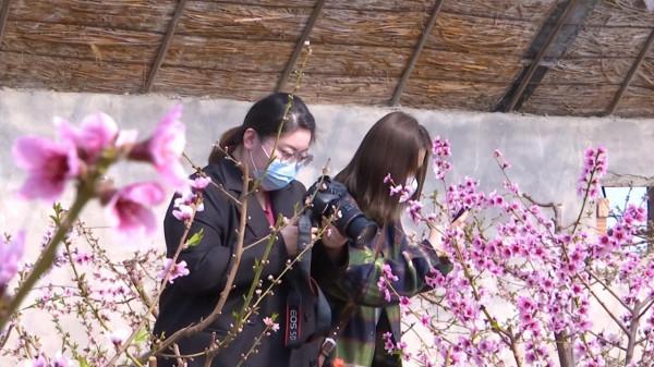 來這裡 與春天撞個滿懷